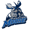 Manitoba Moose