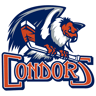 Bakersfield Condors
