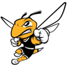 American International Yellow Jackets